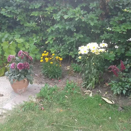 Belvedere Bed & Breakfast