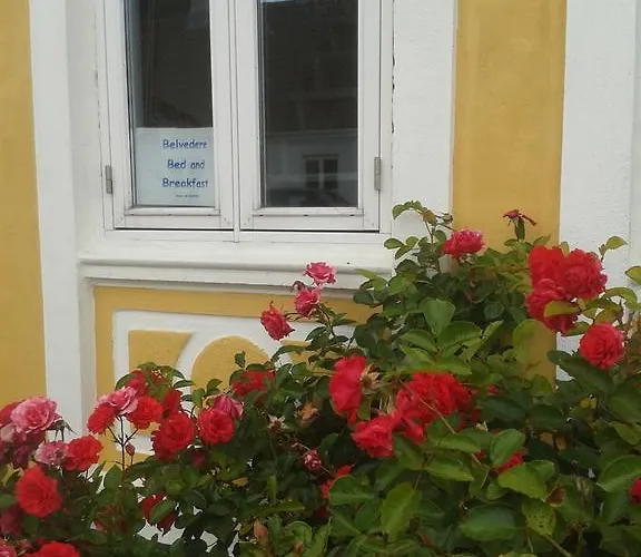 Bed and Breakfast Belvedere Svendborg